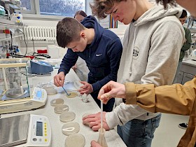 Alexander Mykulanynets (li.) und Joschua Boos (beide J1) experimentieren im Labor mit antimikrobiellen Stoffen aus Pflanzen.